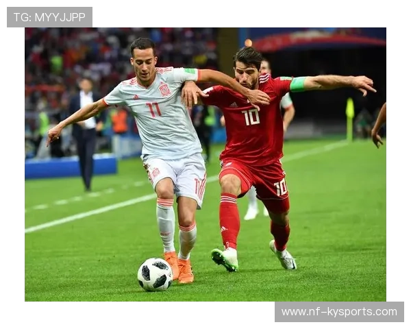 伊朗散打队夺2金3银1铜，展现强劲实力，伊朗拳击世界冠军