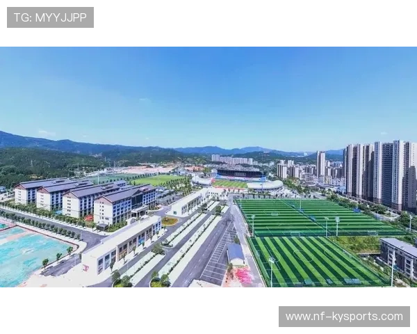 地方政府联合推动足球运动发展，打造特色足球小镇，《关于开展全国足球发展重点城市建设工作的指导意见》